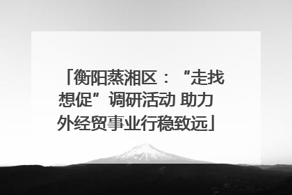 衡阳蒸湘区：“走找想促”调研活动 助力外经贸事业行稳致远